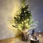 Ppu Apartament *