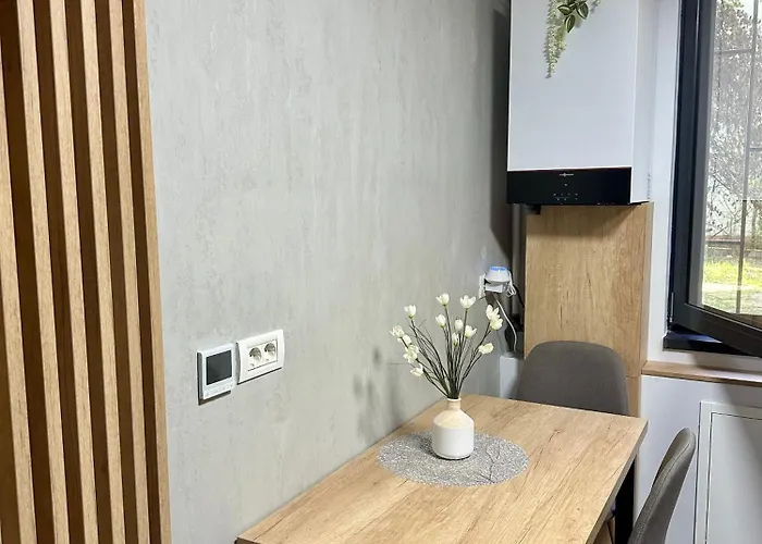 Appartamento Ppu Timisoara