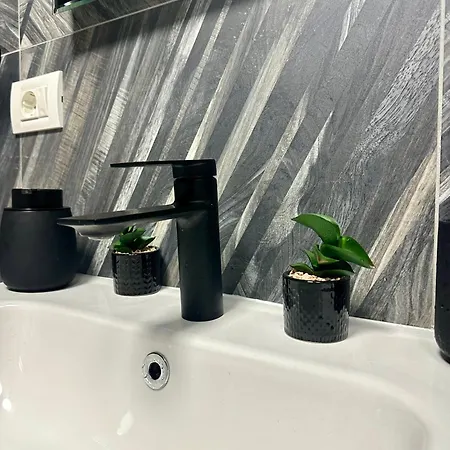 Ppu Appartement Timişoara