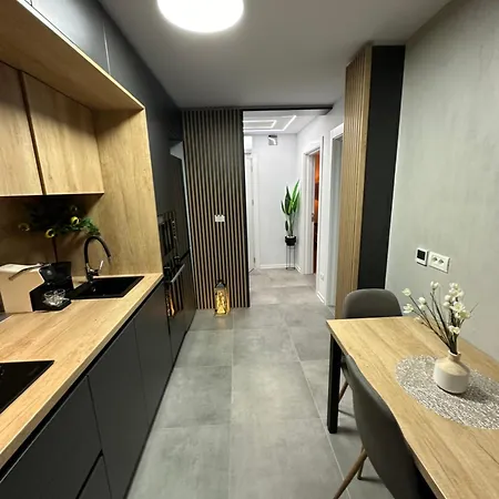 Ppu Appartement Timişoara