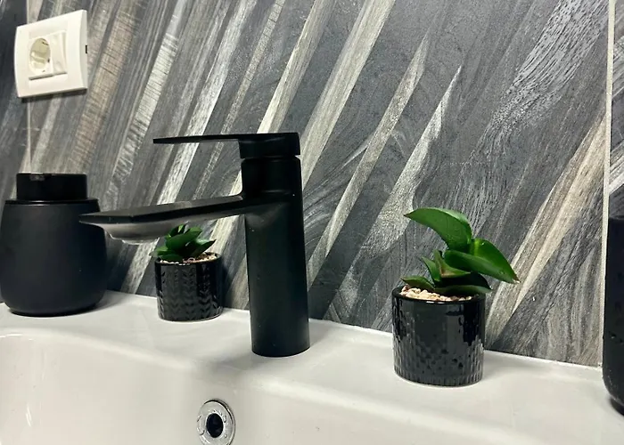 Ppu Apartment Timişoara