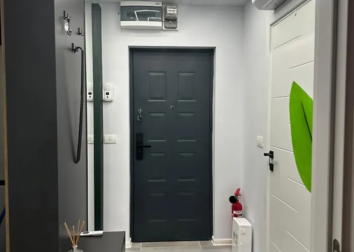 Ppu Apartment Timişoara