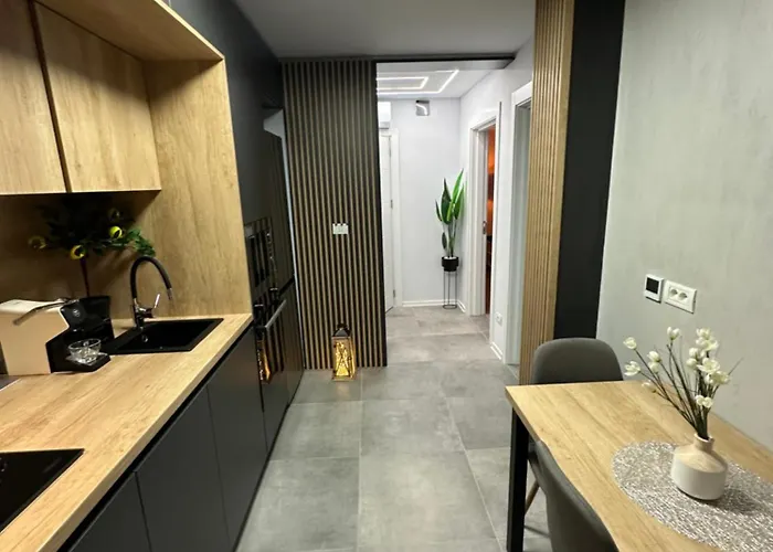 Ppu Apartment Timişoara