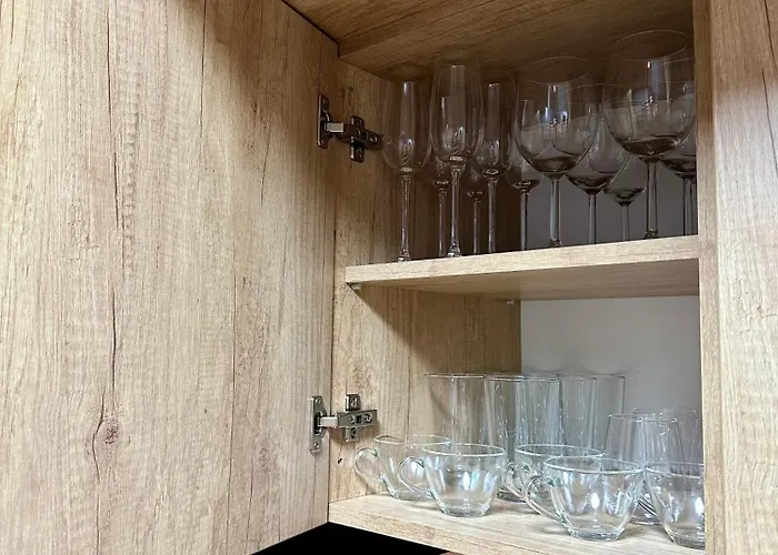 Ppu Apartment Timişoara